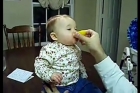 babies tasting lemons for the first time