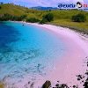 పింక్ స్యాండ్ బీచ్ (Pink Sand Beach)
