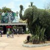 శాన్ డియేగో (San Diego Zoo)