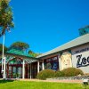 వెల్లింగ్టన్ జూ (Wellington Zoo) 