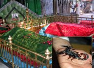 హాజరాత్ శర్‌ఫుద్దీన్ షా విలయత్