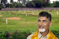 Ap government to do real estate business