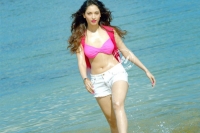 Tamanna had no movie offers may says good bye to industry