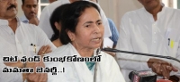 Political bengal chit fund scam mamata banerjee under pressure to act against party