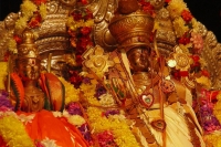 Srirama navami celebrations in telugu states