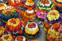 Telangana bathukamma festival story