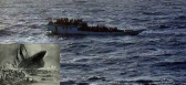 Boat carrying 105 passengers sinks off australia