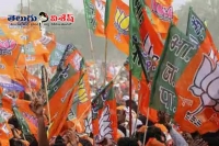 Bjp poised to sweep delhi municipal election