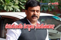 Chiranjeevi to be aicc in charge for tamil nadu