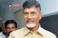 Hc rejects probe against babu in cash for vote case