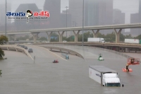 Houston floods nri suffers