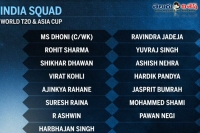 This is the team india cricket team for world t20