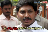 Jagan mohan reddy belives that mla very much