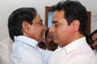 Ktr will decide the mayor candidate from trs