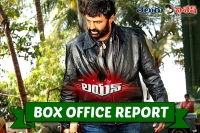 Nbk lion first day collections report