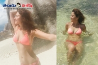 Manjari fadnis bikini stunning show