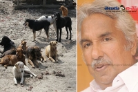 Oomen chandy informed the state ssembly that the all party meeting will discuss the stray dog menace