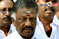 Panneerselvam demands president rule in tamil nadu