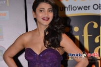 Shruthi haasan in costly movie