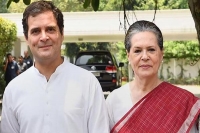 Roll back fuel price hike pass benefits to people sonia gandhi