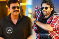 Another multi starrer in tollywood