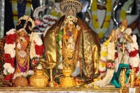 Today lord ramas kalyanam in ontimitta of kadappa dist of ap