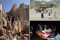 Afghanistan quake kills 1 000 digging grave after grave says official