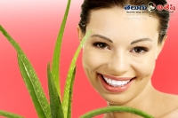 Aloe vera beauty benefits skincare tips home remedies