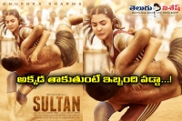 Anushka sharma hard work in sultan movie