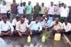 Warangal farmers protesting against cm kcr on power cuts