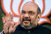 Amit shah comments on tdp bjp relation