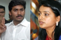 Ysrcp mla roja trying to get second place in ysrcomgress