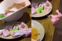 Raw chicken jumps off plate in bizarre viral video