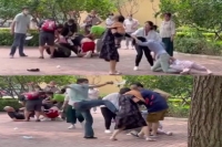 Humans fight at beijing wildlife park setting the wrong example for the animals