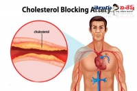 Simple home remedies to get rid of chelosterol problem heart diseases