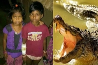 6 year old tiki fights a crocodile saves a life
