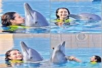 Actress trisha trolled for kissing dolphins in public