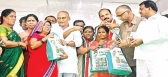 Launch amma hastam scheme in visakhapatnam