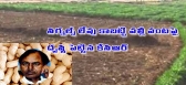 No signals for kcr and groundnuts crop