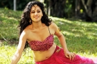 Tapsee pannu twitter comments