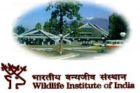 Wild life institute of india recruitment notification different categories