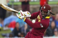 Chris gayle returns to west indies t20i squad for lone match vs india