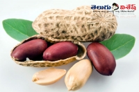 Groundnuts health benefits heart diseases ovary problems home remedies
