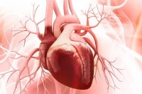 People with heart defects at greater risk for severe illness death if hospitalized for covid 19