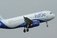 Indigo apologises after woman falls off her wheelchair at lucknow airport