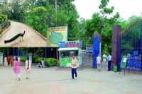 New year treat to kbr park entries visitors entrance ticket and annual passes fee hiked
