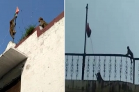 Monkey hoists the indian national flag on independence day in haryana