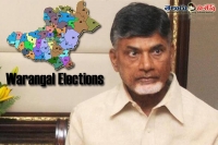 Is naidu know defeat of warangal elections