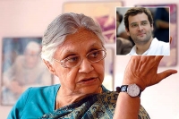 Sheila dixit interesting comments rahul gandhi sonia gandhi congress party