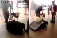 Airport authorities discover a man inside a luggage bag with sniffer dog help in peru